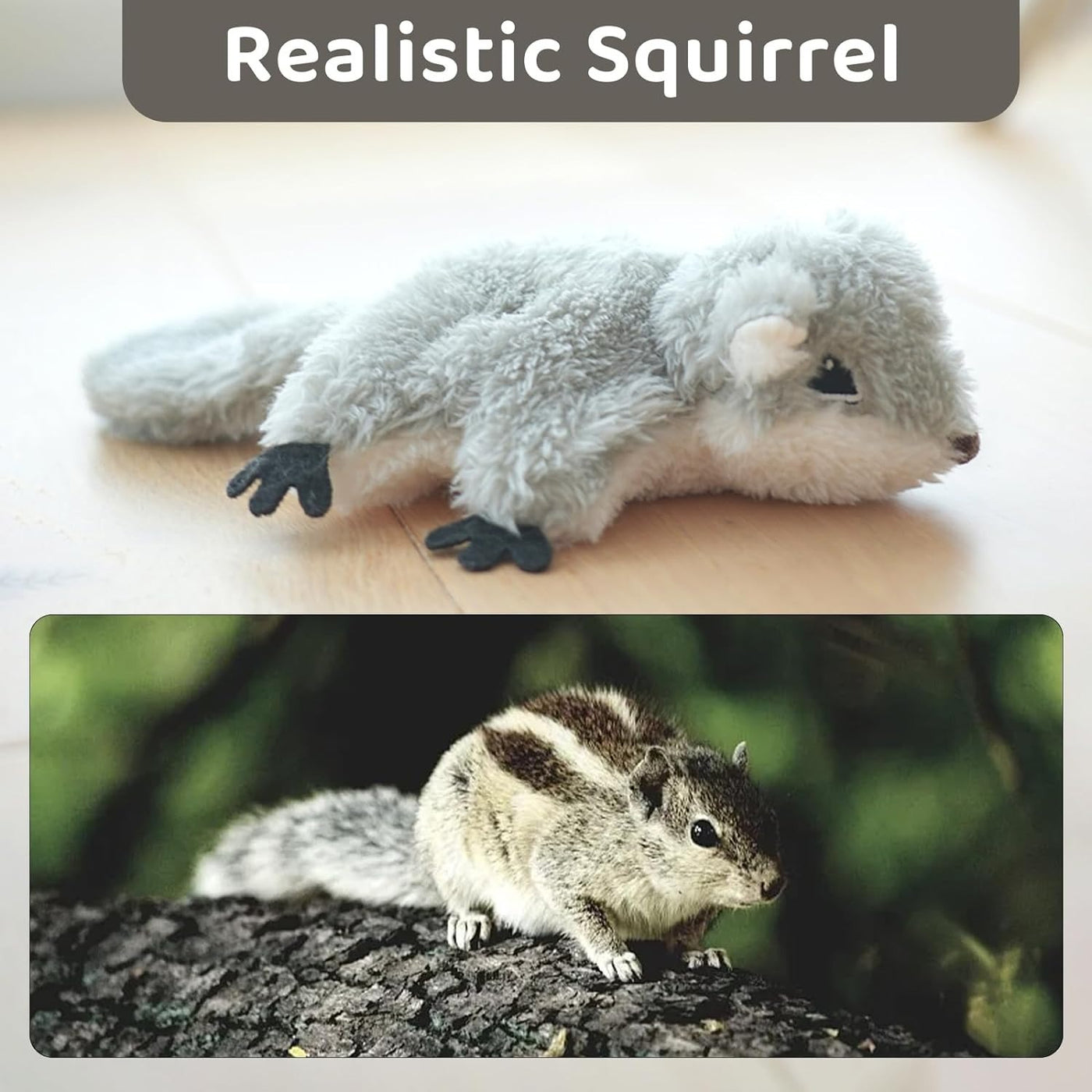 Flappy Squirrel
