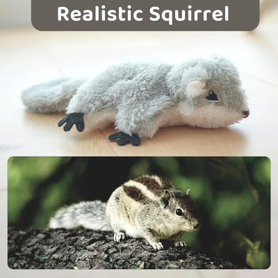 Flappy Squirrel