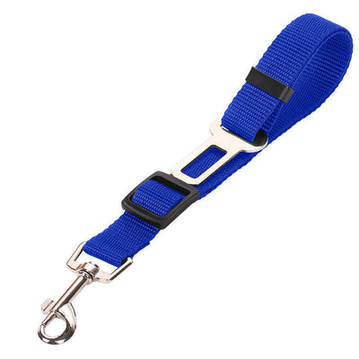 SafeRide - Premium Car Leash