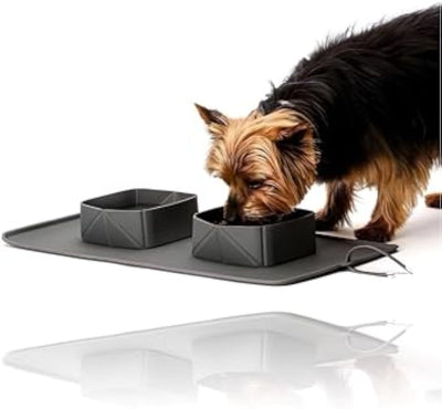 PawLapse - Generic Portable Pet Feeder