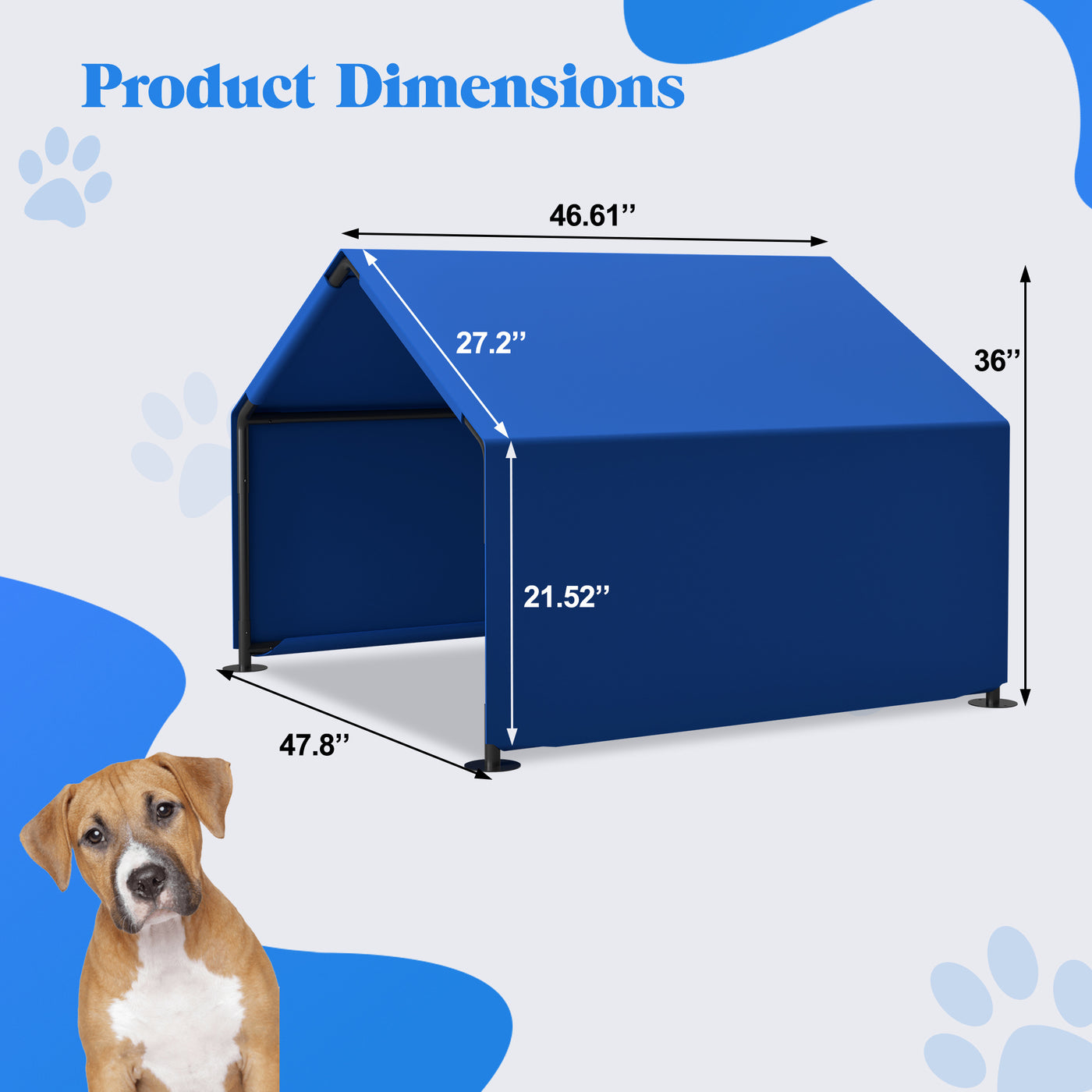 PetShelter